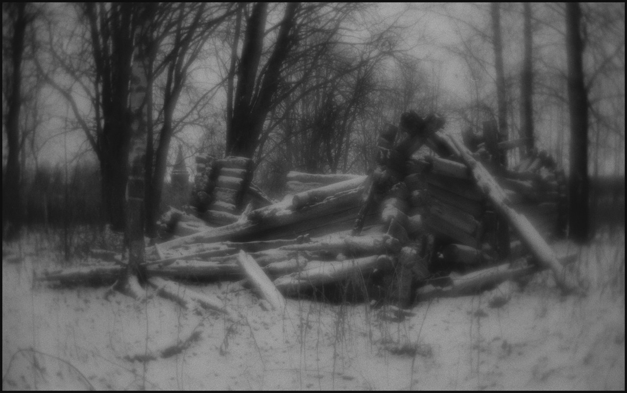 ур. Красная Ляга, Каргопольский район, Архангельская область. 2024 г.