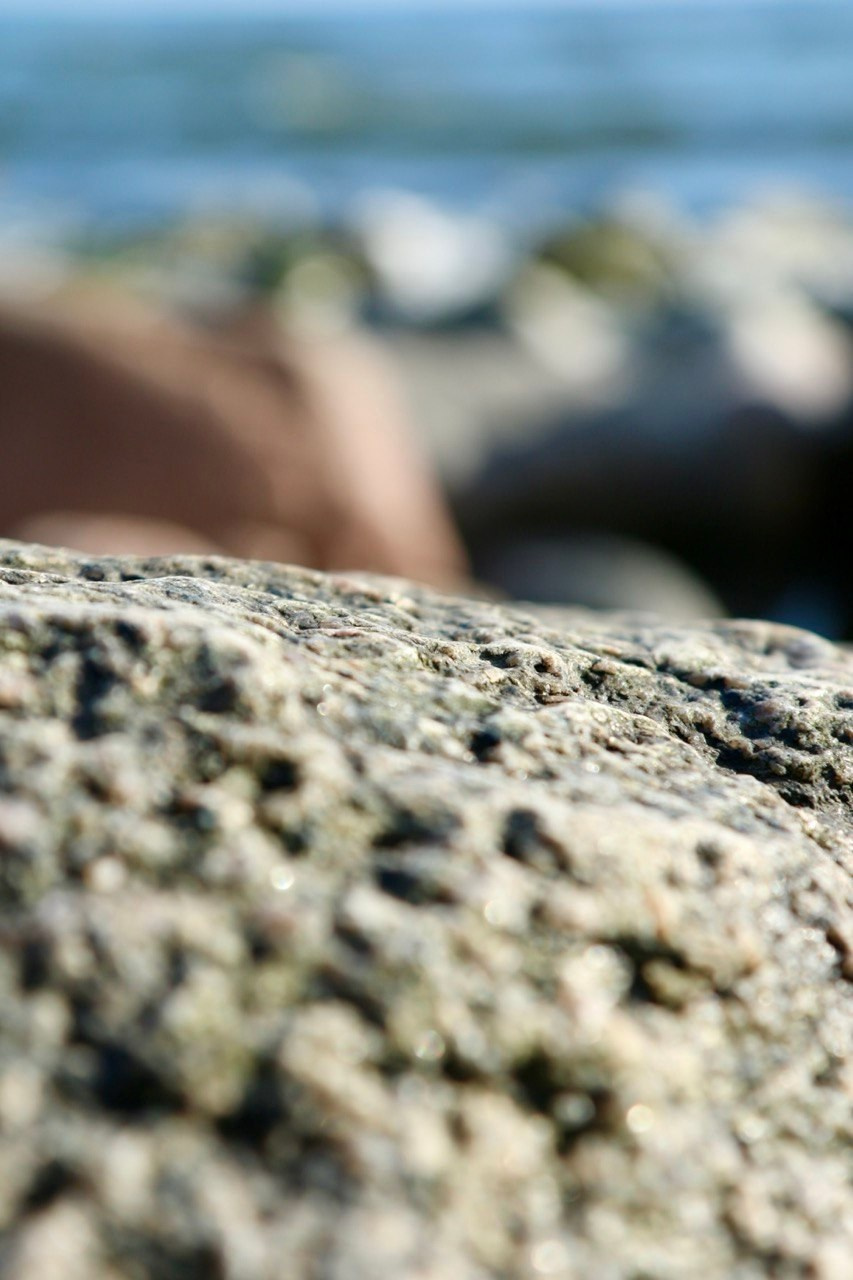 Макро. Фотографирую мир