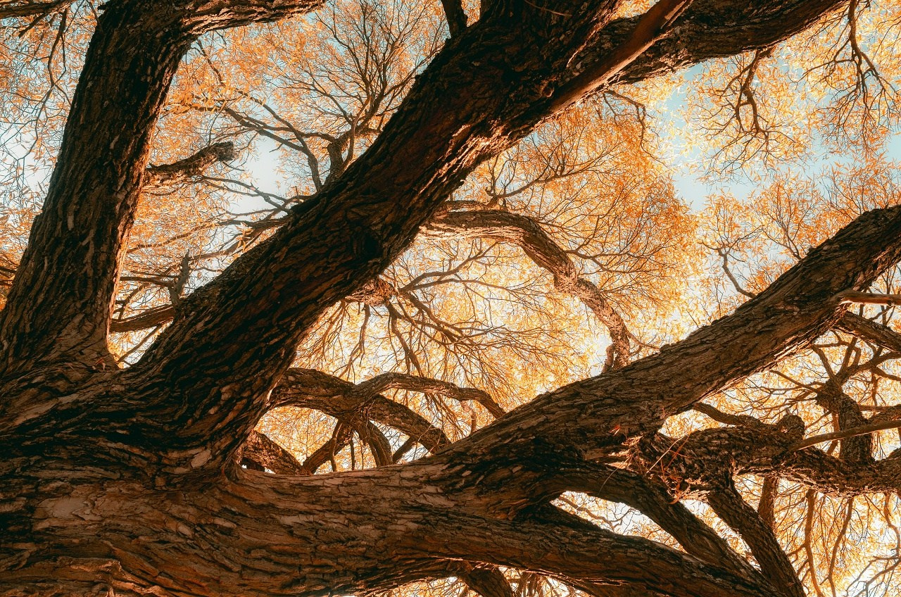 Вся Россия. Фотограф Cyberkyrie