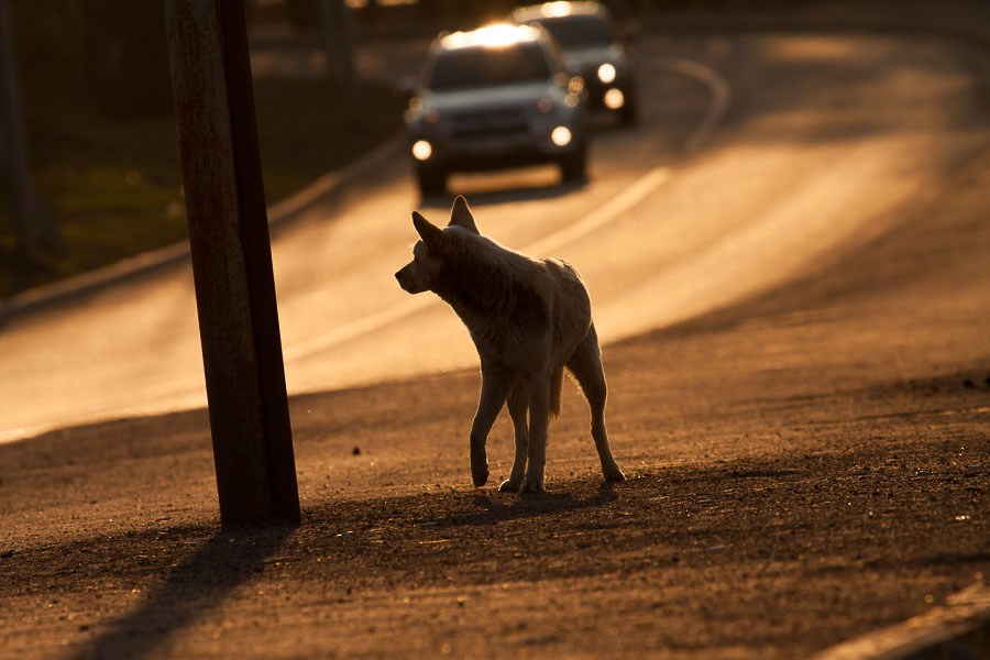 Street art. Фотостудия Алматы. Фотосъемка Алматы. Фотосессия Алматы. Фотокурсы. Обучение фотографии. Аренда студии