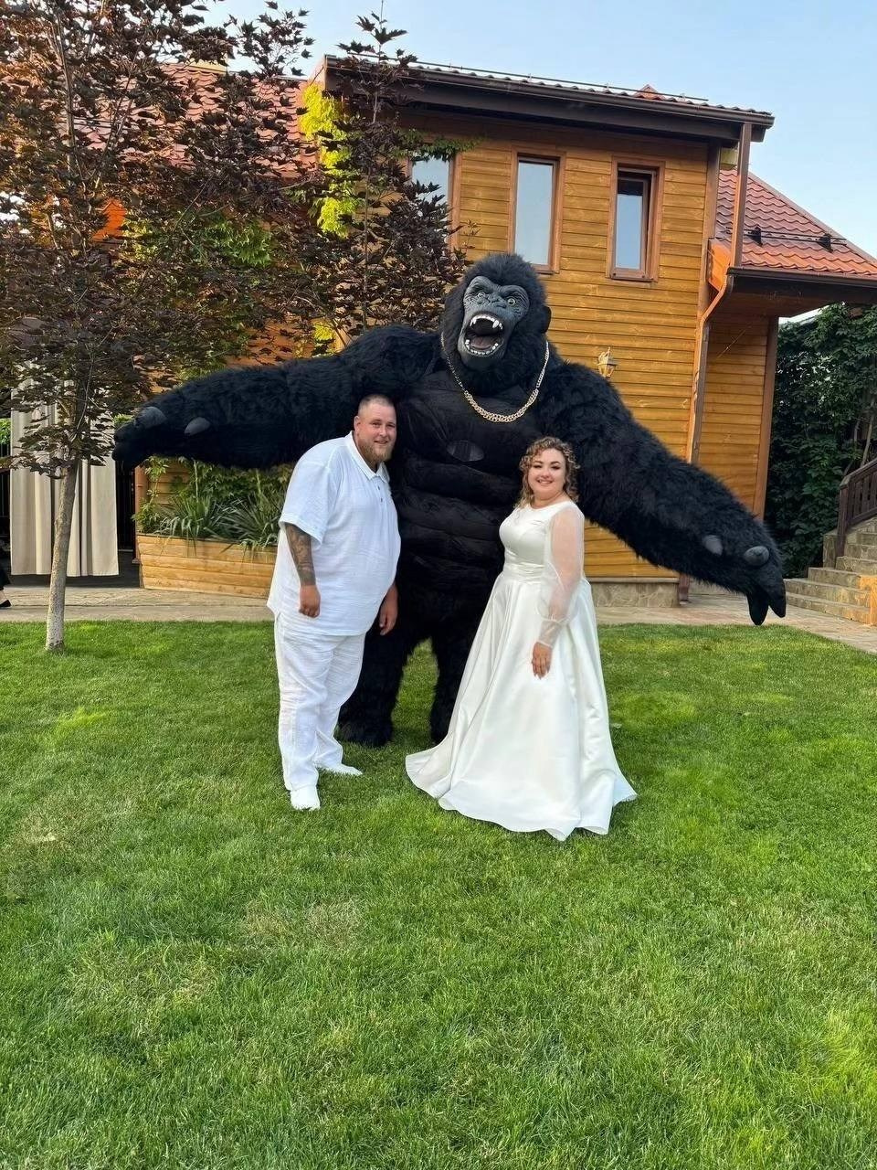 Эксперсс поздравление.ростовые куклы, медведь, панда, горилла. Организатор праздников. Ведущая Марина Гребенникова