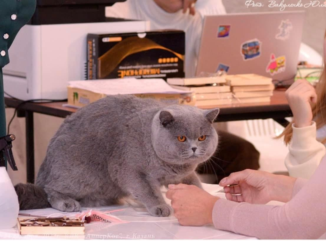 Jacob. Mauna Gastonia