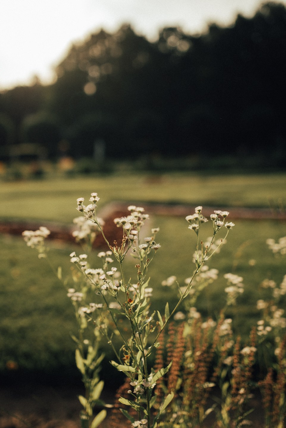 Тим, Лиза, Варя | на природе