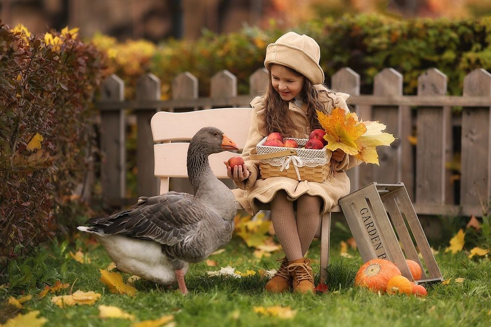 Тыквы. Фотограф для маркетплейсов Михаил Бове