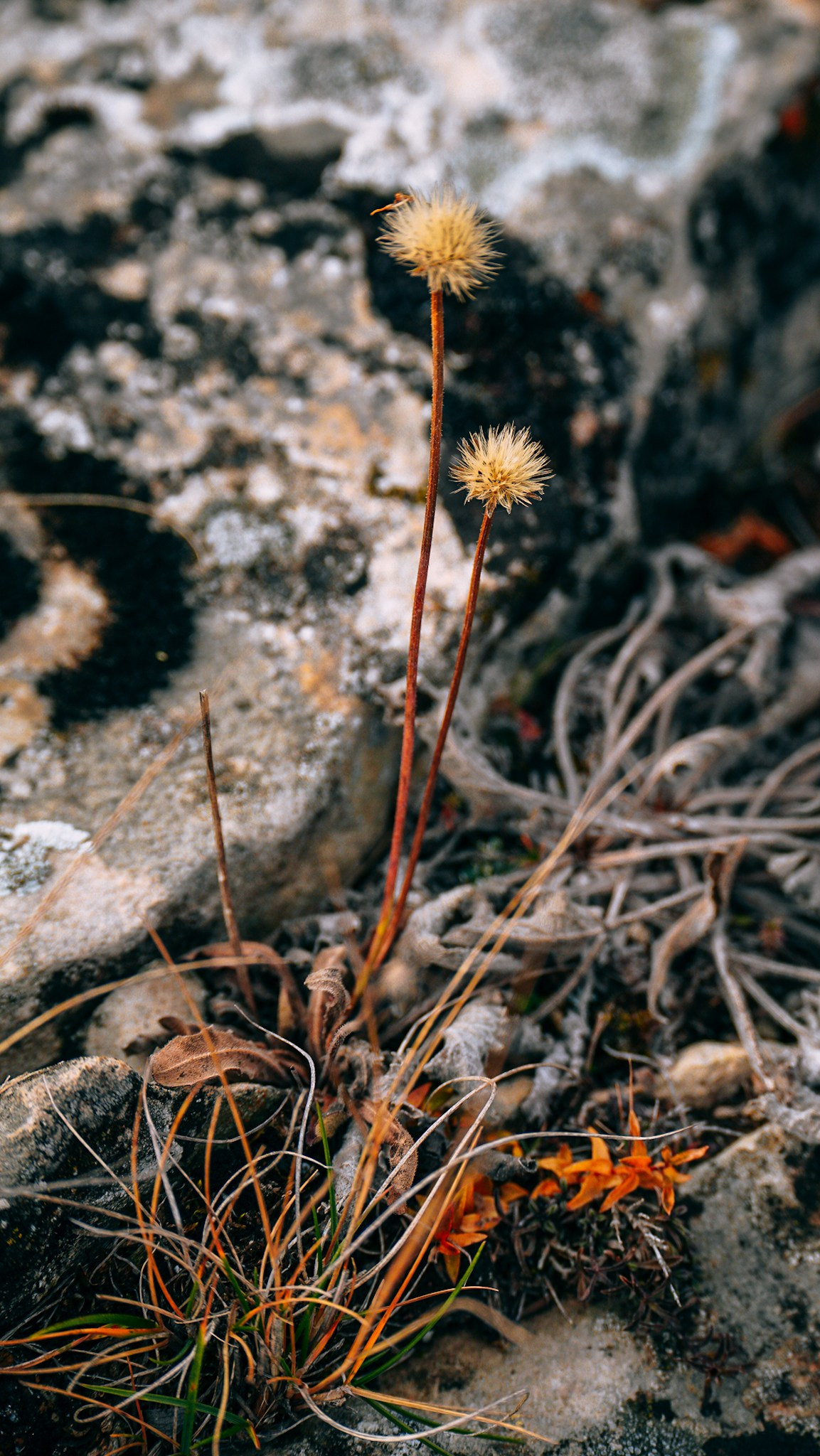 Дагестан 2023. Человек с фотокамерой