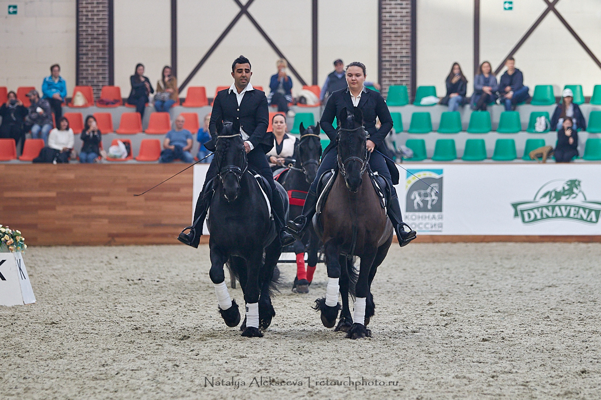 Конная Россия 2019, Maxima Stables | 09'2019. Репортажный фотограф и ретушер в Москве Наталья Алексеева