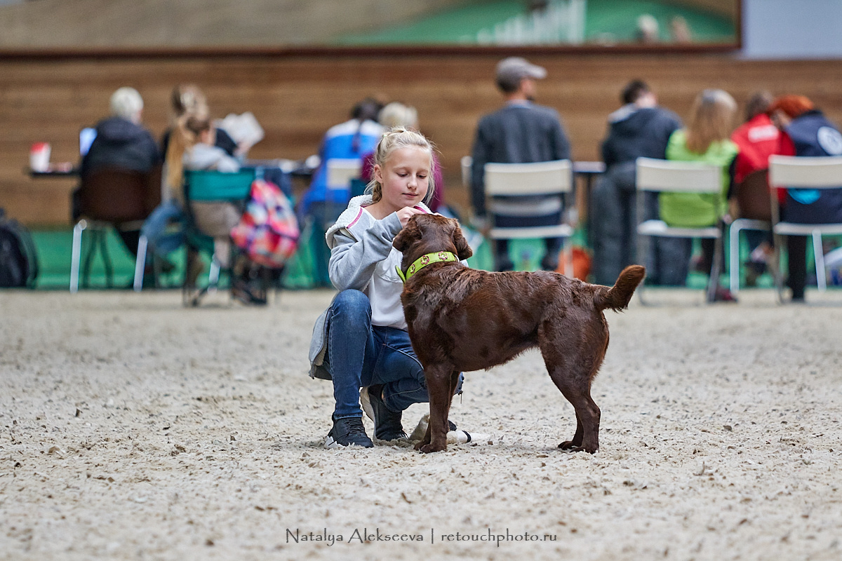 Конная Россия 2019, Maxima Stables | 09'2019. Репортажный фотограф и ретушер в Москве Наталья Алексеева