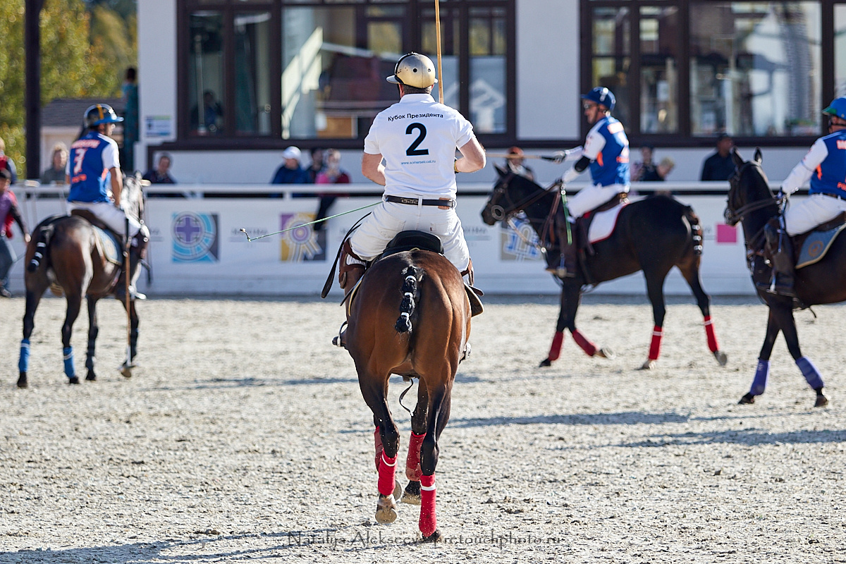 Конная Россия 2019, Maxima Stables | 09'2019. Репортажный фотограф и ретушер в Москве Наталья Алексеева