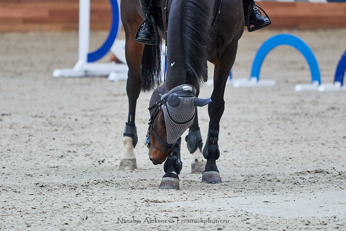 CSI-2*/1*, CSI-J/Ch, Maxima Masters, Maxima Stables | 09'2020. Репортажный фотограф и ретушер в Москве Наталья Алексеева