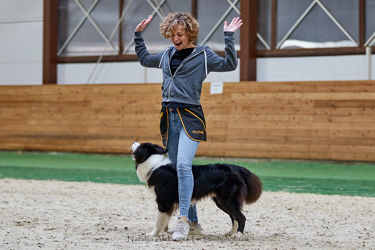 Конная Россия 2019, Maxima Stables | 09'2019. Репортажный фотограф и ретушер в Москве Наталья Алексеева