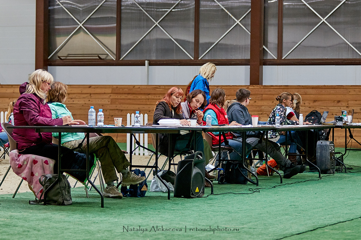 Конная Россия 2019, Maxima Stables | 09'2019. Репортажный фотограф и ретушер в Москве Наталья Алексеева