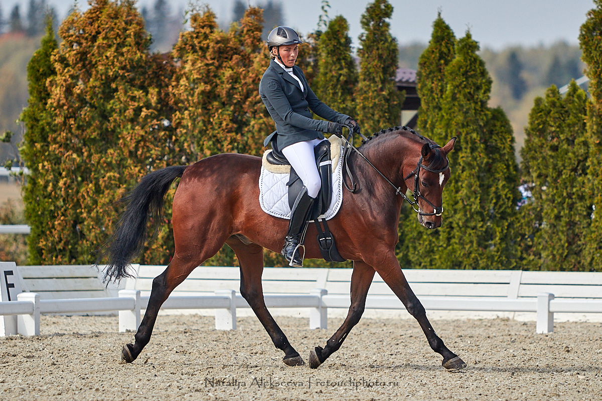 Конная Россия 2019, Maxima Stables | 09'2019. Репортажный фотограф и ретушер в Москве Наталья Алексеева