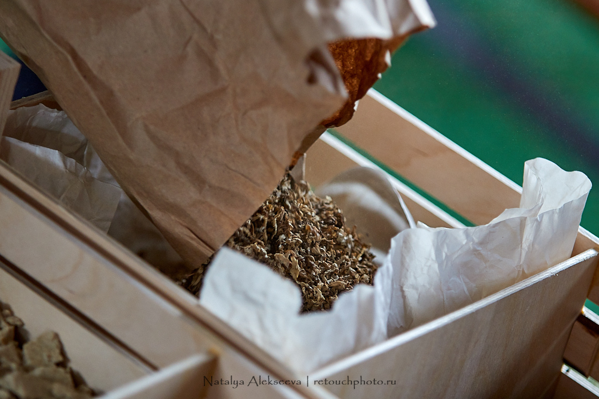 Конная Россия 2019, Maxima Stables | 09'2019. Репортажный фотограф и ретушер в Москве Наталья Алексеева