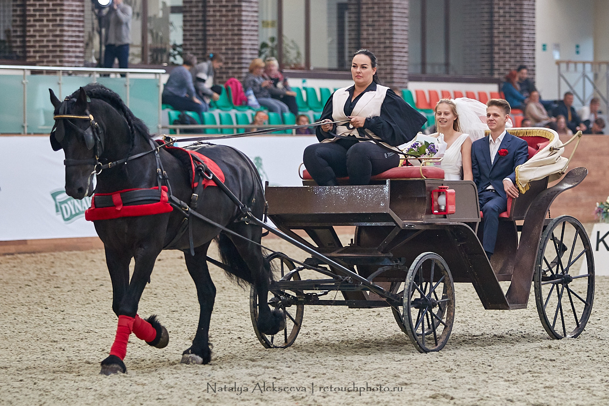 Конная Россия 2019, Maxima Stables | 09'2019. Репортажный фотограф и ретушер в Москве Наталья Алексеева
