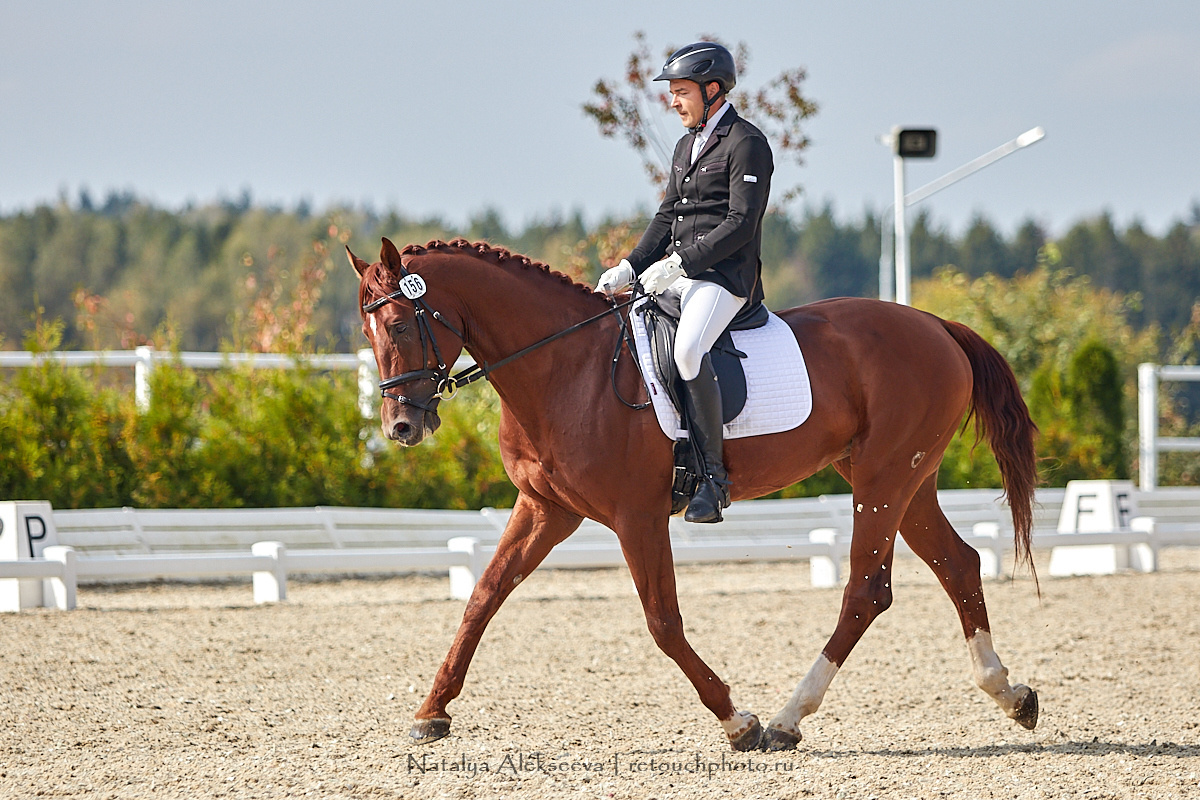 Конная Россия 2019, Maxima Stables | 09'2019. Репортажный фотограф и ретушер в Москве Наталья Алексеева