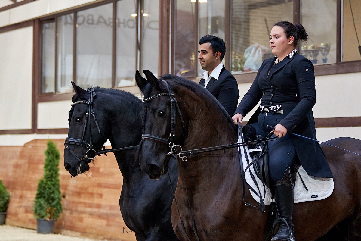 Конная Россия 2019, Maxima Stables | 09'2019. Репортажный фотограф и ретушер в Москве Наталья Алексеева