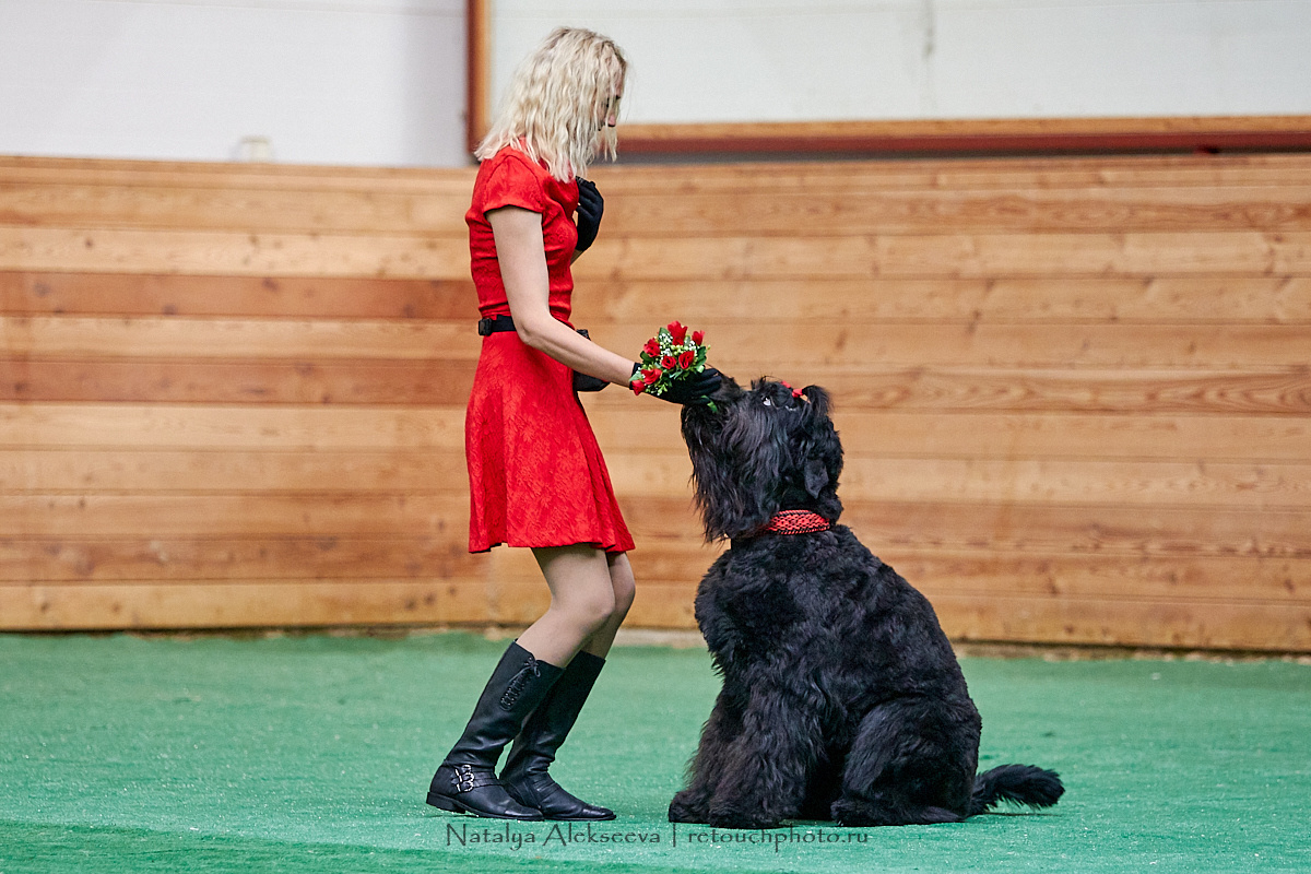 Конная Россия 2019, Maxima Stables | 09'2019. Репортажный фотограф и ретушер в Москве Наталья Алексеева