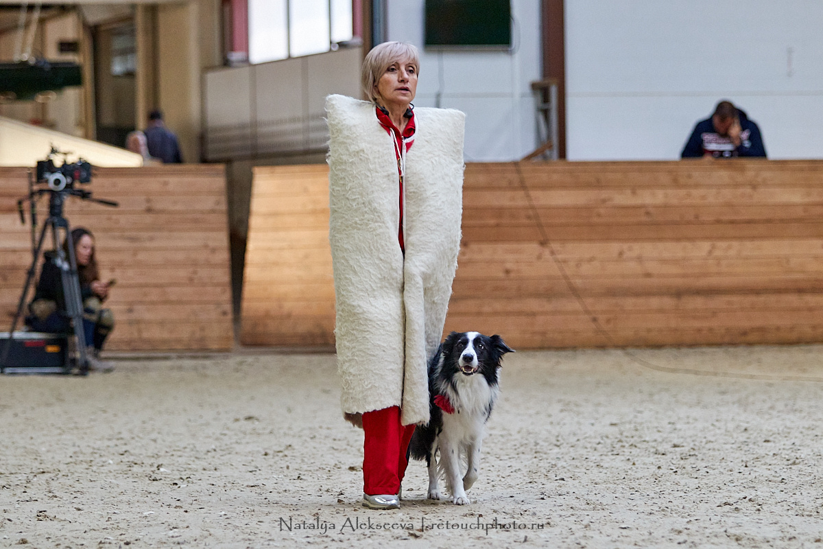 Конная Россия 2019, Maxima Stables | 09'2019. Репортажный фотограф и ретушер в Москве Наталья Алексеева