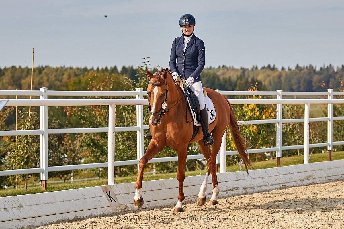 Конная Россия 2019, Maxima Stables | 09'2019. Репортажный фотограф и ретушер в Москве Наталья Алексеева