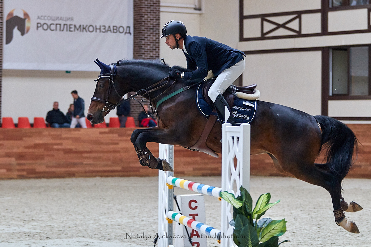 CSI-2*/1*, CSI-J/Ch, Maxima Masters, Maxima Stables | 09'2020. Репортажный фотограф и ретушер в Москве Наталья Алексеева