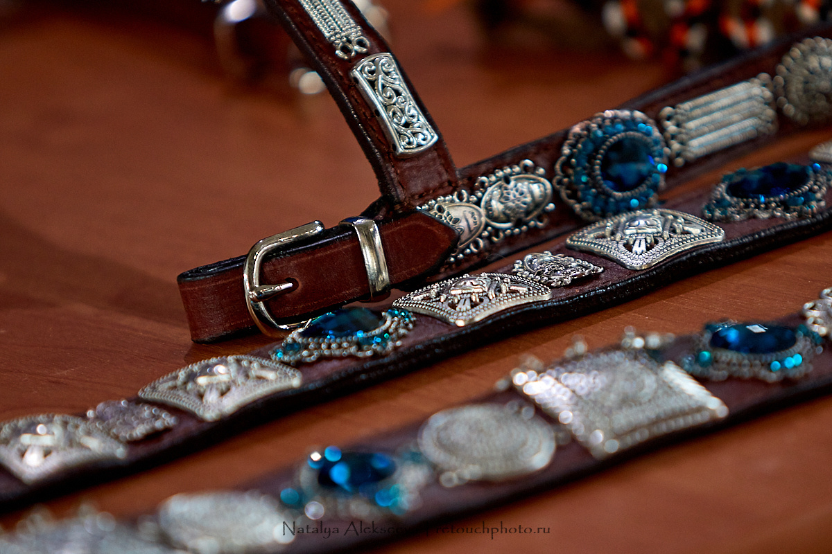 Конная Россия 2019, Maxima Stables | 09'2019. Репортажный фотограф и ретушер в Москве Наталья Алексеева