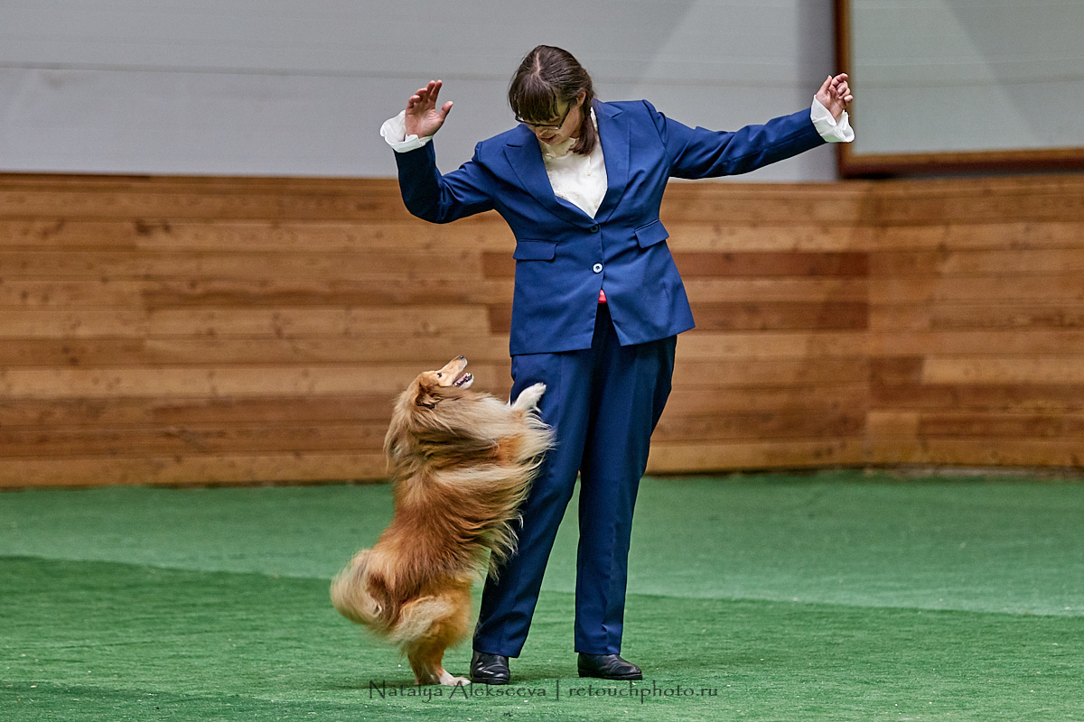 Конная Россия 2019, Maxima Stables | 09'2019. Репортажный фотограф и ретушер в Москве Наталья Алексеева