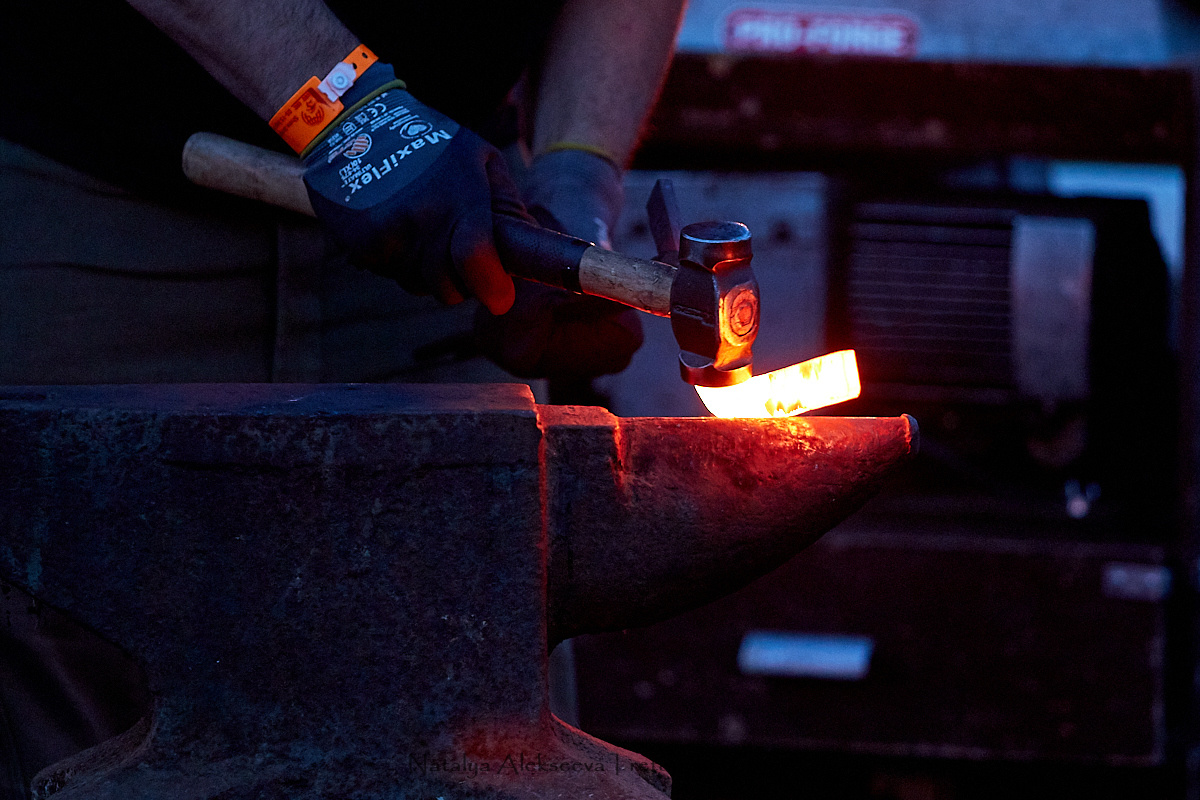 Конная Россия 2019, Maxima Stables | 09'2019. Репортажный фотограф и ретушер в Москве Наталья Алексеева