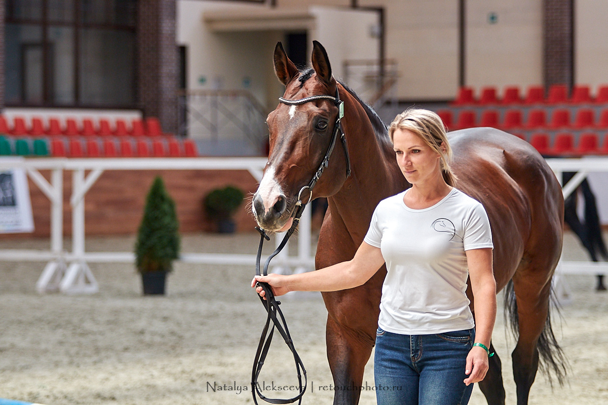 Конная Россия 2019, Maxima Stables | 09'2019. Репортажный фотограф и ретушер в Москве Наталья Алексеева