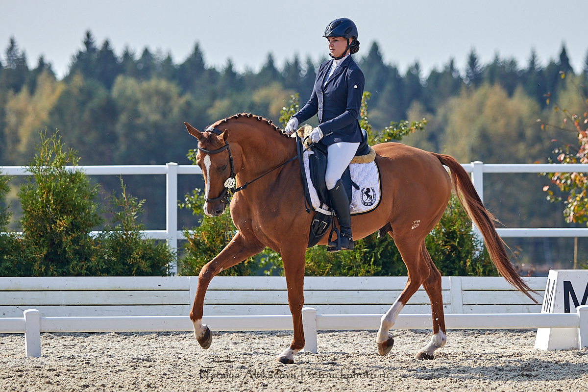 Конная Россия 2019, Maxima Stables | 09'2019. Репортажный фотограф и ретушер в Москве Наталья Алексеева