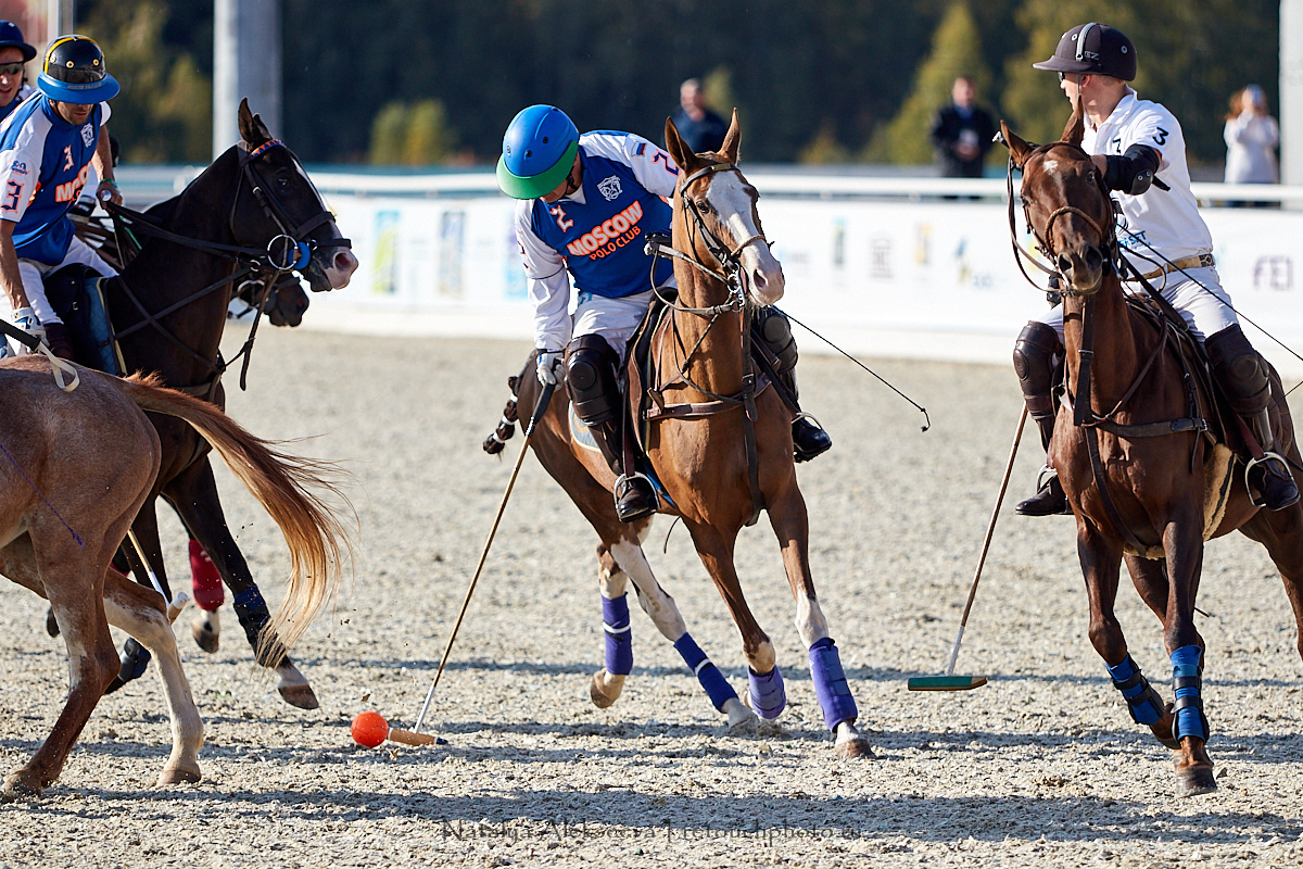 Конная Россия 2019, Maxima Stables | 09'2019. Репортажный фотограф и ретушер в Москве Наталья Алексеева