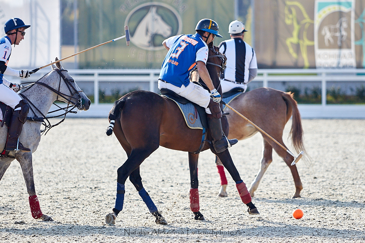 Конная Россия 2019, Maxima Stables | 09'2019. Репортажный фотограф и ретушер в Москве Наталья Алексеева