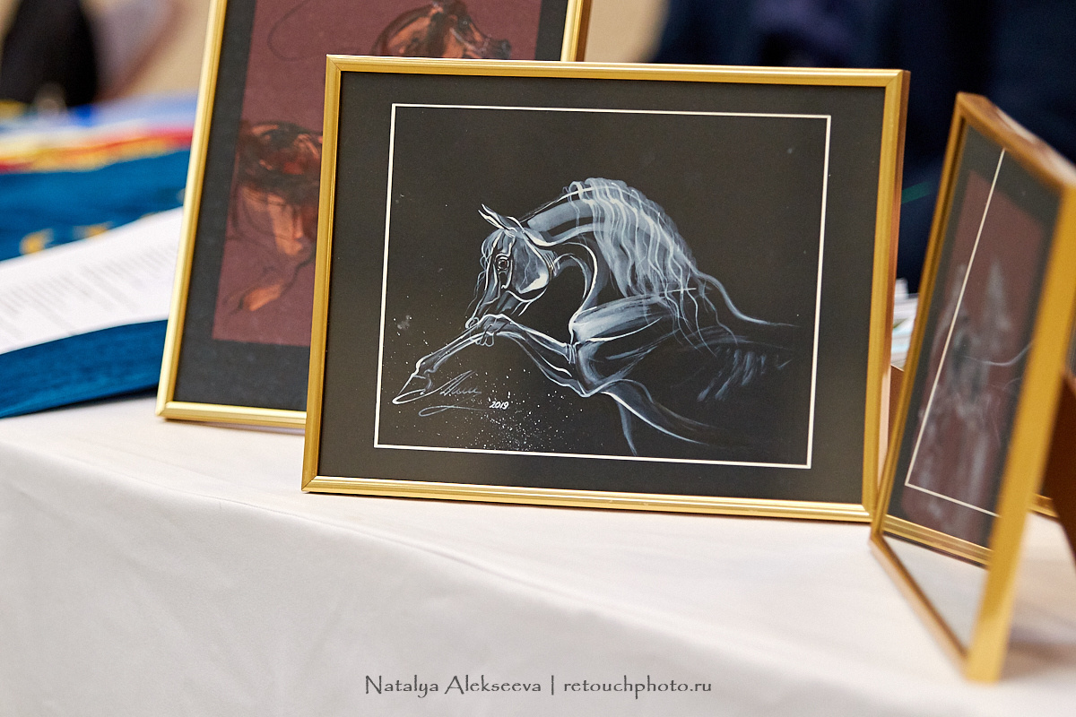 Конная Россия 2019, Maxima Stables | 09'2019. Репортажный фотограф и ретушер в Москве Наталья Алексеева