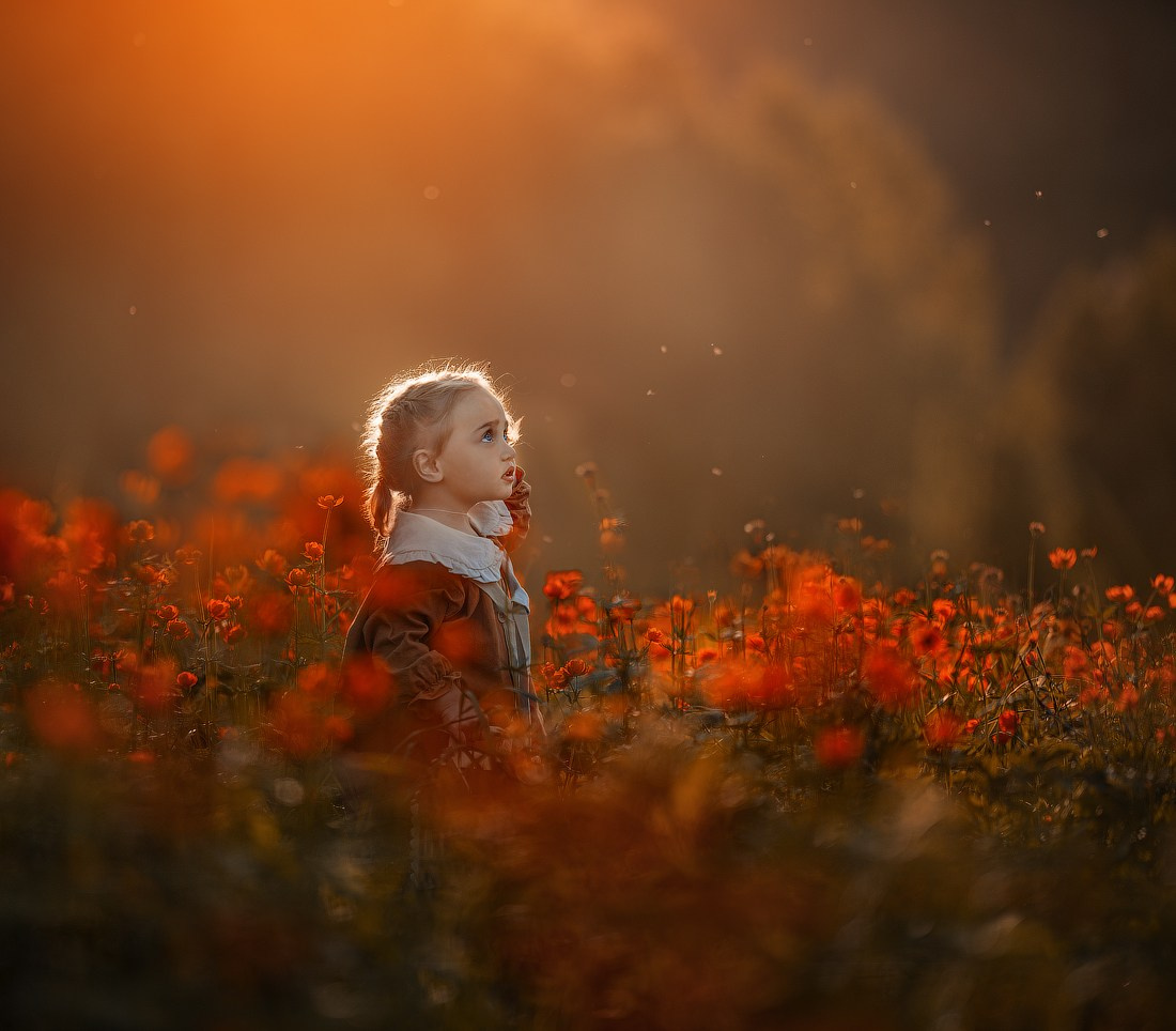 Портфолио. ОБУЧЕНИЕ ФОТОГРАФИИ И РЕТУШИ