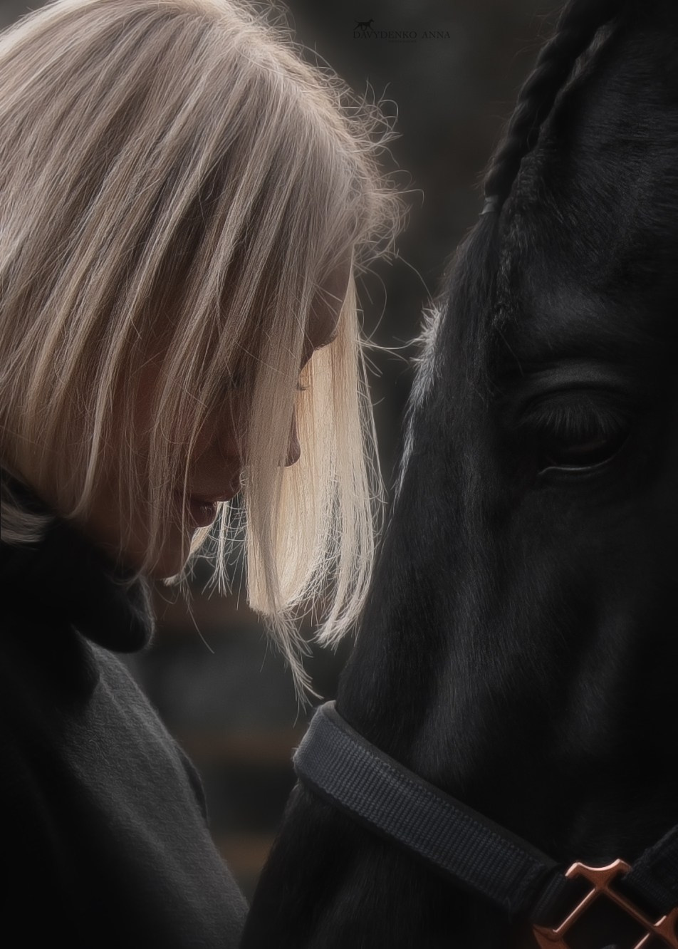 фотосессия с конем в сочи