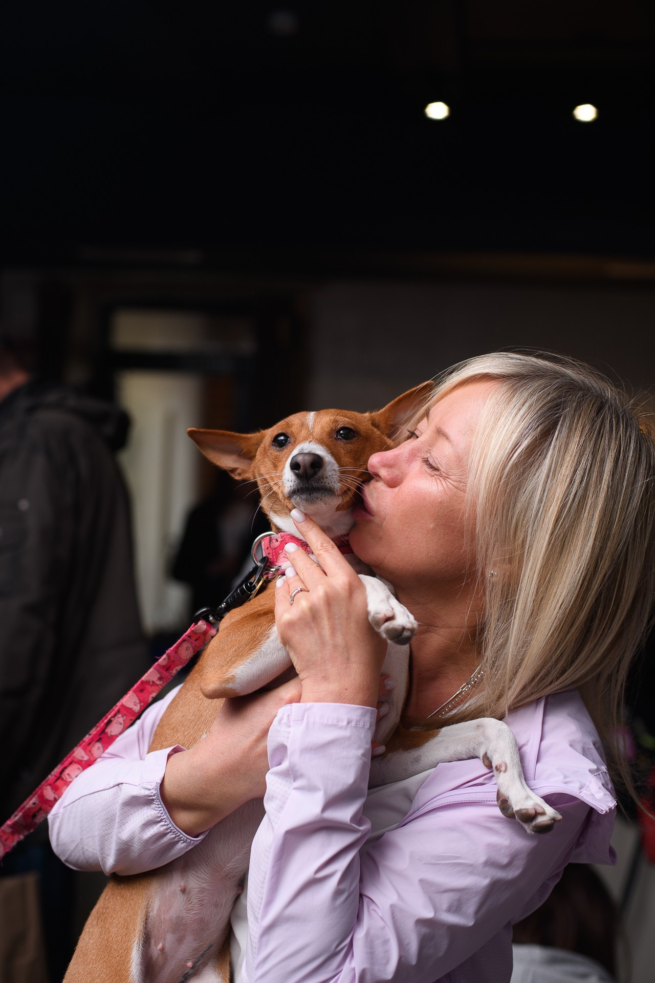 Basenji Help Fest 2025. Фотограф-анималист, Brand-фотограф в Москве Евгения Кононенко