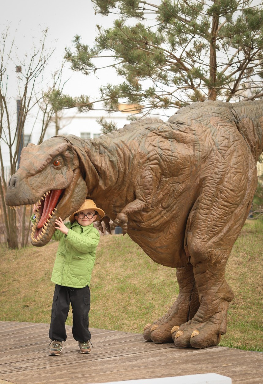 Косте 6 лет Дино пати. Семейный фотограф Москва детский фотограф Одинцово фотосессия беременности Рогачева Екатерина