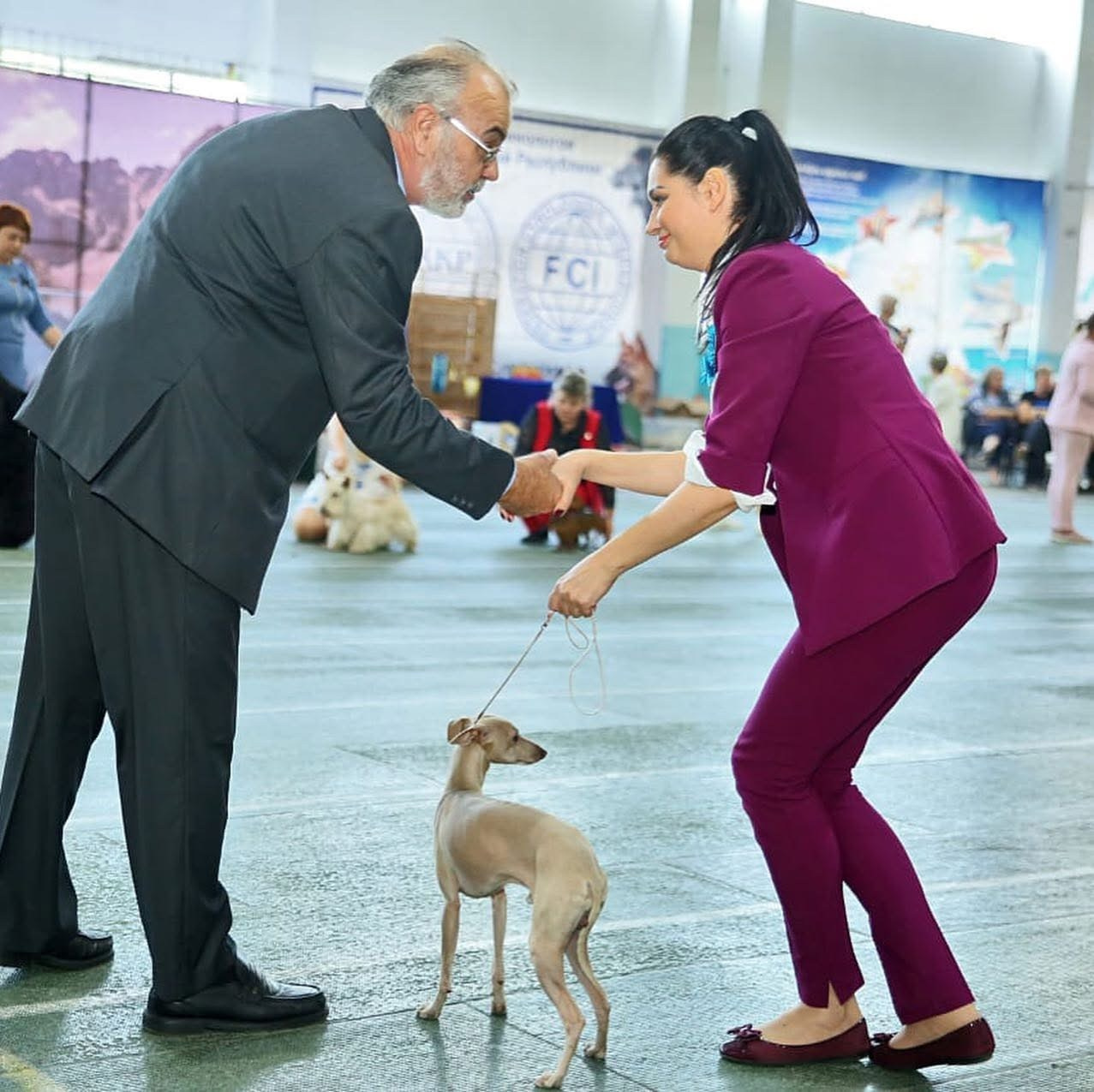 Выпускники ЧЕМПИОНЫ. Профессиональный питомник левреток РКФ/FCI ASTI SAPPHIRE 💎 Сочи|Санкт-Петербург