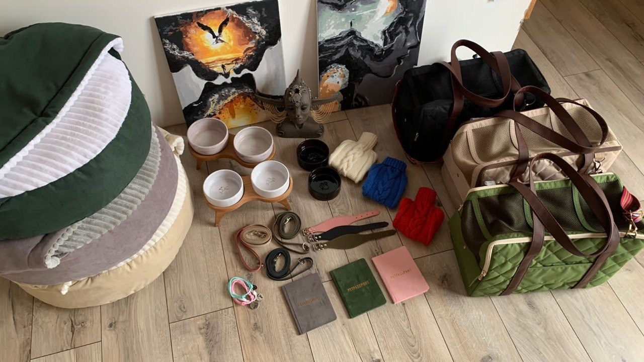 Сон и отдых. Профессиональный питомник левреток РКФ/FCI ASTI SAPPHIRE 💎 Сочи|Санкт-Петербург