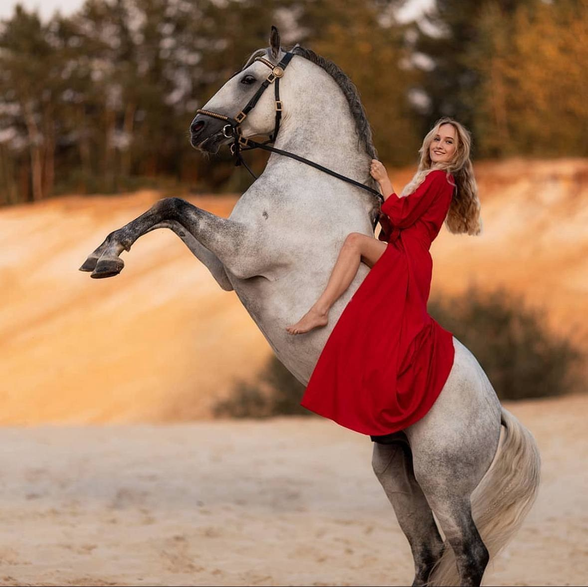 Портфолио и примеры работ с фотосессии с трюковыми лошадьми. Фотосессии с лошадьми в Москве от Конный фотографа Кутейниковой Светланы