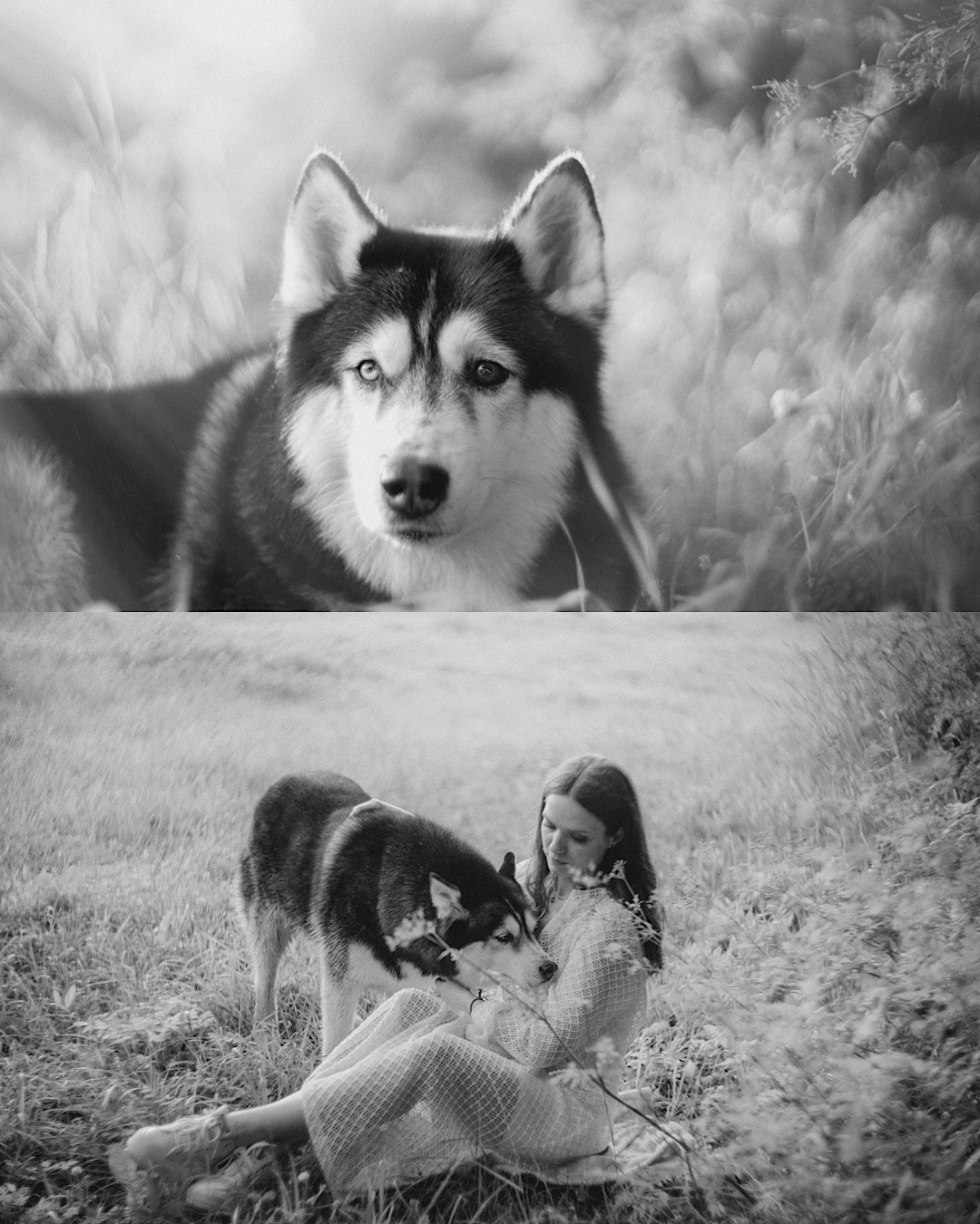 Мария и Вегас. Фотограф анималист в Москве и Санкт-Петербурге Свиридова Анна