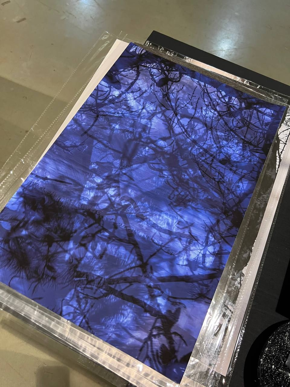 WIN-WIN art fair 2025. Фотограф алина стерхова, алина стерхова фотограф, фотограф москва