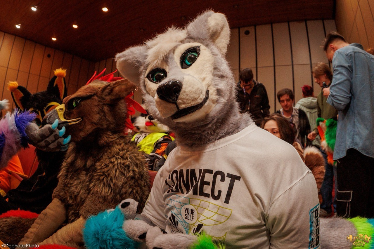 United Furry Convention 2026. Различные мероприятия и просто фотографии людей