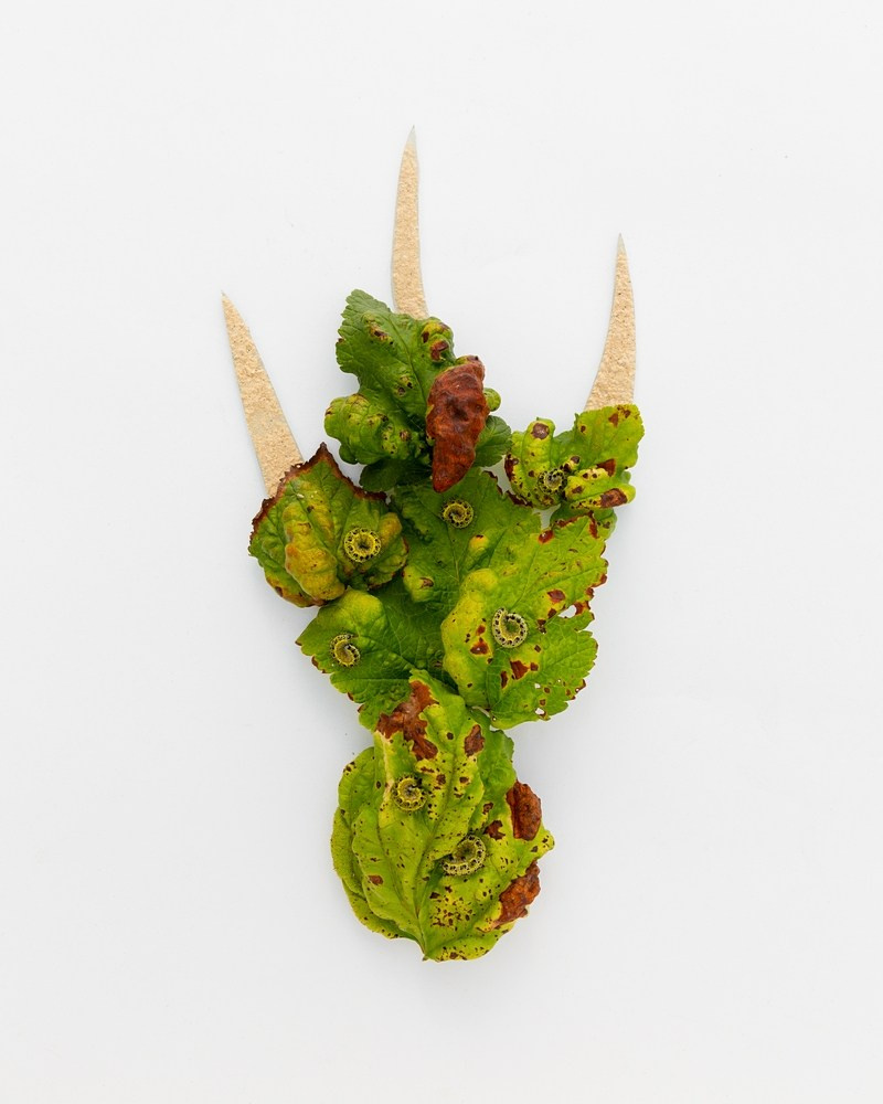 Острые предметы. Фотографии Саши Любина