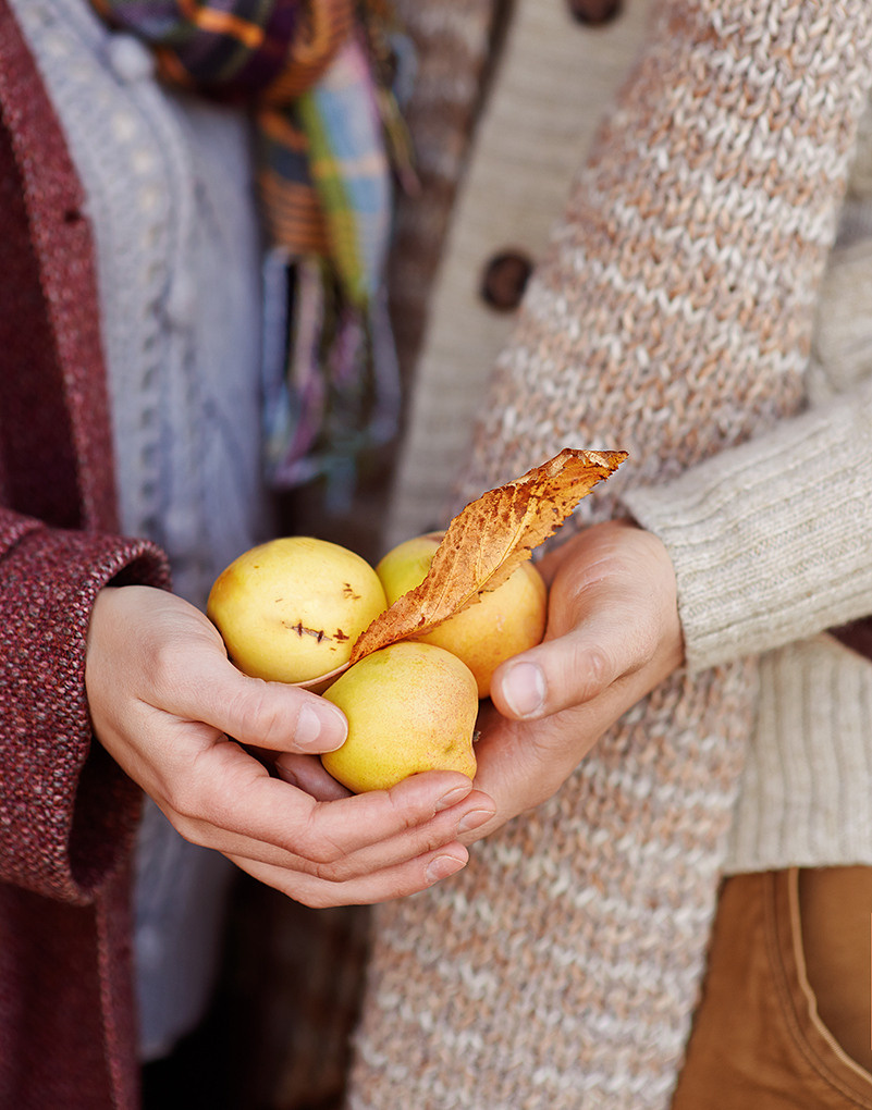 Старая дача. Фотограф в Луганске Лариса Аксёнова