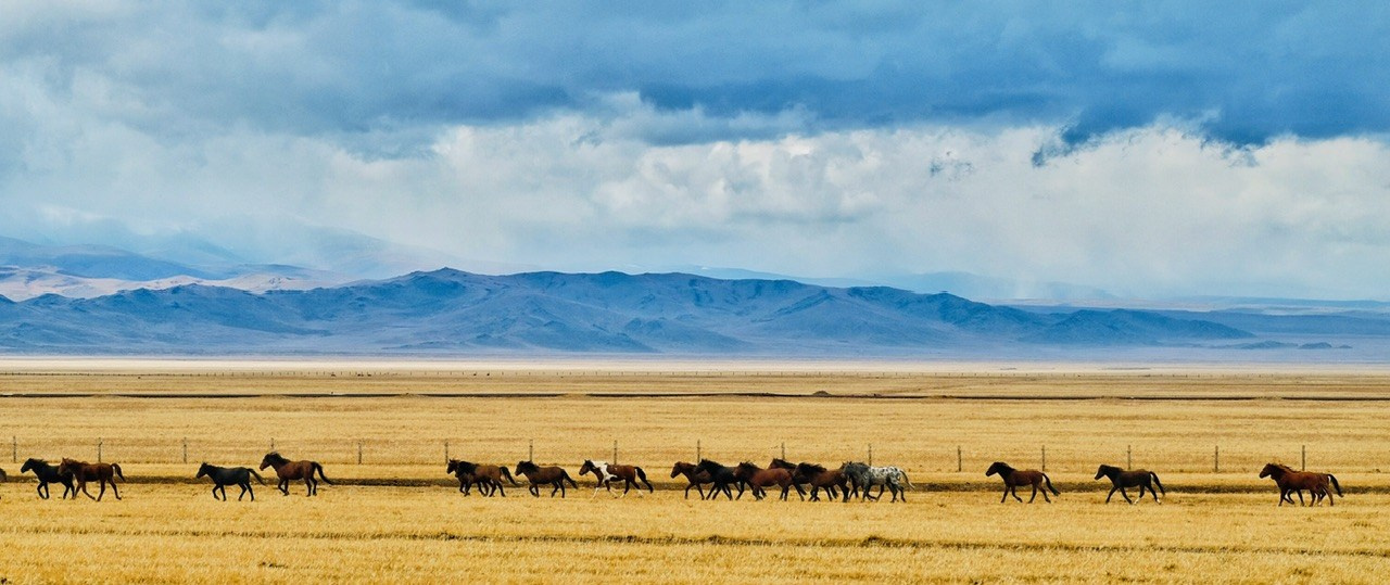 Алтай. Фотограф Евгений Андреев