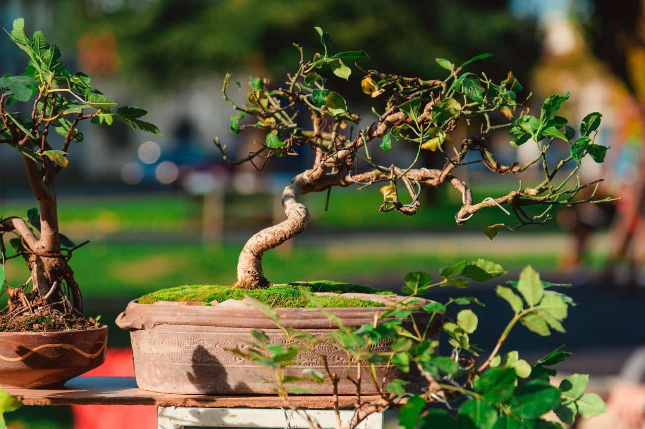 Ваш фотограф в Санкт-Петербурге. Фотограф Светлана Пажильцева