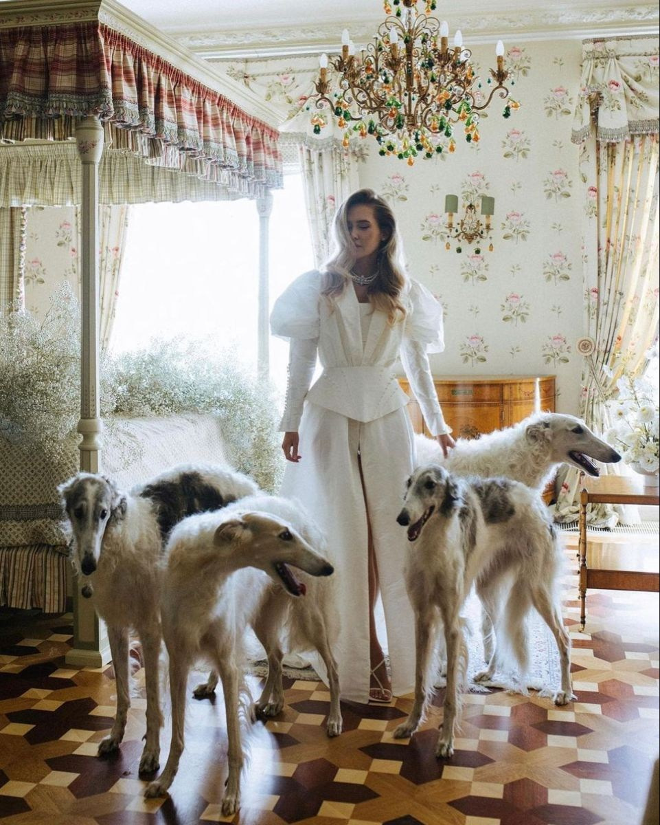 Собаки. Фотограф для маркетплейсов Михаил Бове