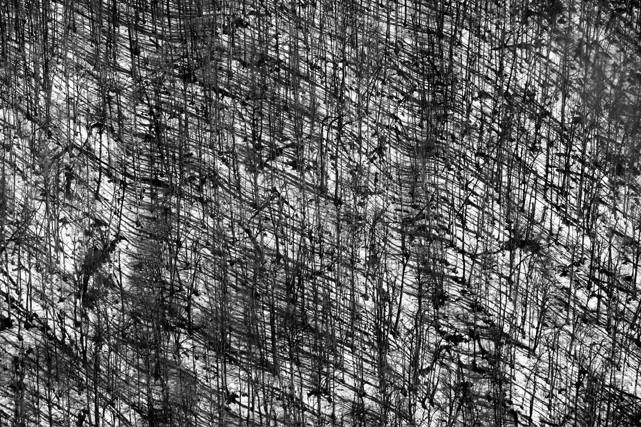 Реальная геометрия. Фотограф Евгений Андреев