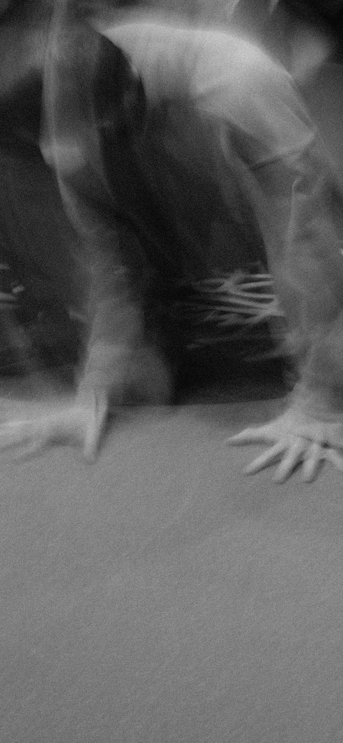 NBD 2023. LIYALEE PHOTO