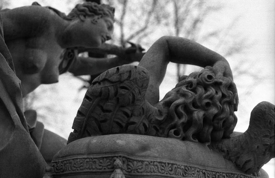 Those. Елена Цихон художник фотографии и мастер фото-ДНК